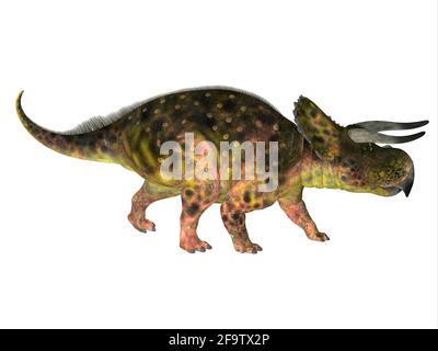 Nasutoceratops war ein pflanzenfressender Ceratopsid-Dinosaurier, der in der Kreidezeit in Utah, USA, lebte. Stockfoto