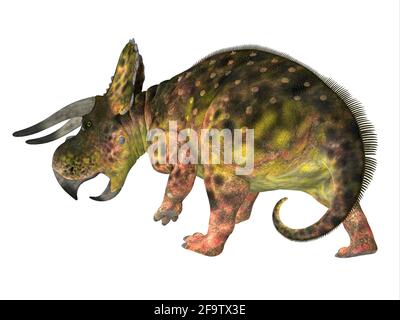 Nasutoceratops war ein pflanzenfressender Ceratopsid-Dinosaurier, der in der Kreidezeit in Utah, USA, lebte. Stockfoto