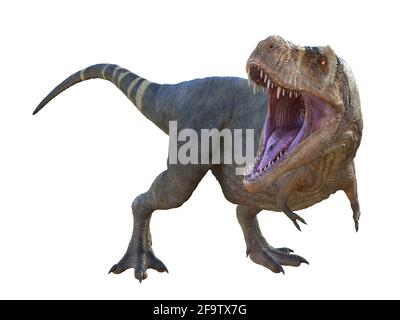 Tyrannosaurus rex war ein fleischfressender Theropod-Dinosaurier, der während der Kreidezeit in Nordamerika lebte. Stockfoto