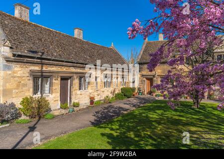 Blick auf die Frühlingsblüten und die traditionellen Cottages, Stamford, South Kesteven, Lincolnshire, England, Vereinigtes Königreich, Europa Stockfoto