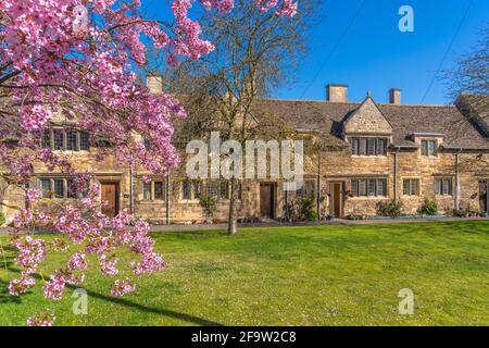 Blick auf die Frühlingsblüten und die traditionellen Cottages, Stamford, South Kesteven, Lincolnshire, England, Vereinigtes Königreich, Europa Stockfoto