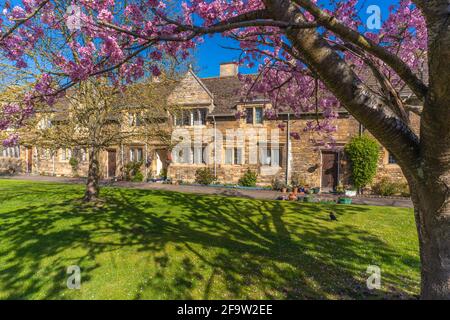 Blick auf die Frühlingsblüten und die traditionellen Cottages, Stamford, South Kesteven, Lincolnshire, England, Vereinigtes Königreich, Europa Stockfoto