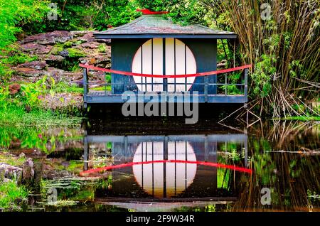 Ein asiatisches Teehaus spiegelt sich im Wasser des asiatisch-amerikanischen Gartens in Bellingrath Gardens, 19. April 2021, in Theodore, Alabama. Stockfoto