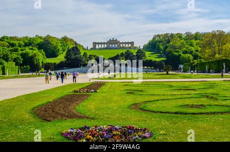 WIEN, ÖSTERREICH, 30. APRIL 2015: Blick auf das grüne Blumenbeet, Menschen gehen in Richtung Neptunbrunnen und Gloriette am Schönbrunn, Wien, Österreich Stockfoto