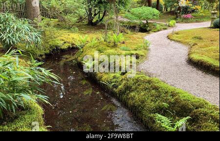 Ein Bach mit dunklem Wasser, Moos und einigen Büschen. Alles in einem friedlichen buddhistischen Stil geschaffen. Lage: Der japanische Garten im Anwesen Clingendael. Stockfoto