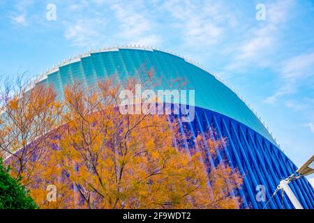 VALENCIA, SPANIEN, 31. DEZEMBER 2015: Blick auf die Spitze des Agora-Gebäudes in der spanischen Stadt valencia Stockfoto