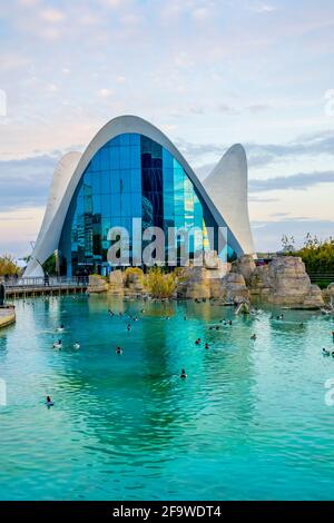 VALENCIA, SPANIEN, 31. DEZEMBER 2015: L'Oceanographic Centre. Das Aquarium in der Stadt der Künste und Wissenschaften in valencia zieht Hundert Besucher an Stockfoto