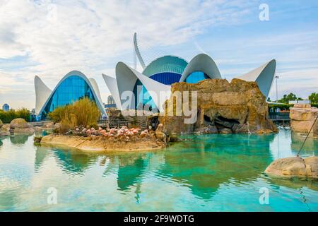 VALENCIA, SPANIEN, 31. DEZEMBER 2015: L'Oceanographic Centre. Das Aquarium in der Stadt der Künste und Wissenschaften in valencia zieht Hundert Besucher an Stockfoto