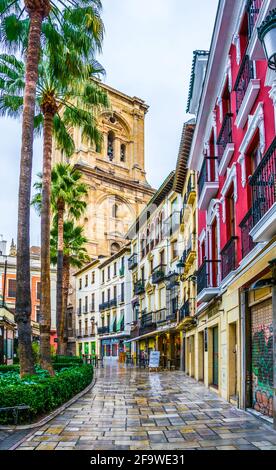 GRANADA, SPANIEN, 3. JANUAR 2016: Blick auf eine Straße mit bunten Häusern, die vom Turm der Inkarnationskathedrale in granada, spanien, dominiert wird Stockfoto