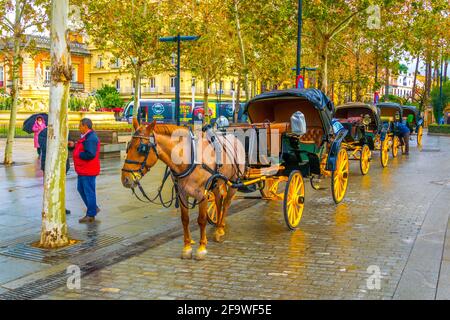 SEVILLA, SPANIEN, 7. JANUAR 2016: Blick auf eine Kutsche mit Pferd, die auf die Passagiere einer Tour durch das historische Zentrum von sevilla wartet Stockfoto