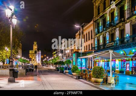 SEVILLA, SPANIEN, 7. JANUAR 2016: Nachtansicht einer lebhaften Straße im Stadtzentrum von sevilla mit dem beleuchteten torre de oro am Ende Stockfoto