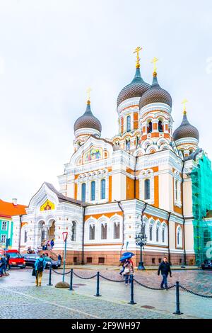 TALLIN, ESTLAND, 16. AUGUST 2016: Die Menschen gehen vor der russisch-orthodoxen Alexander-Nevski-Kathedrale in Toompea in Tallin, Estland Stockfoto