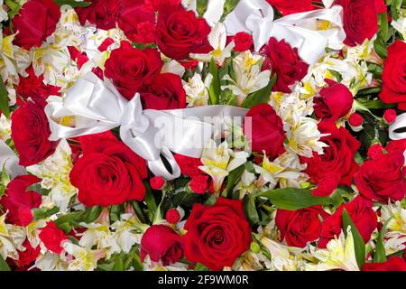 Rote Rosen und gelbes peruanlillies-Muster mit weißer Schleife. Stockfoto