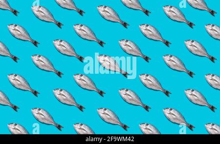 Buntes Fischmuster mit vielen dorado-Fischen symmetrisch auf blauem Hintergrund angeordnet. Nahtloses Muster mit rohem Fisch. Stockfoto