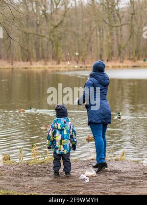 POZNAN, POLEN - 18. Feb 2018: Frau und Kind füttern an einem kalten Wintertag Enten mit Brot an einem Teich im Wald Stockfoto