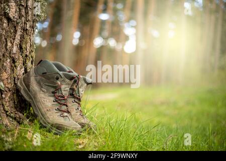 Wanderschuhe im Wald. Ruhen Sie sich nach einem langen Trekking-Spaziergang aus. Gesunder Lebensstil in der Natur. Stockfoto