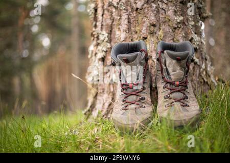 Wanderschuhe im Wald. Ruhen Sie sich nach einem langen Trekking-Spaziergang aus. Gesunder Lebensstil in der Natur. Stockfoto