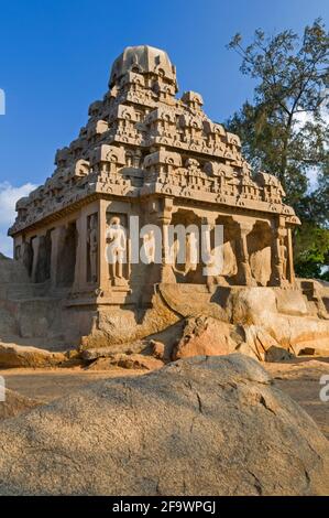 Fünf Rathas Dharmaraja Ratha Mahabalipuram Tamil Nadu Indien Stockfoto