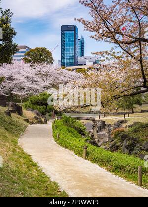 5. April 2019: Tokio, Japan - Pfad und Kirschblüte in den Kyu-Shiba-rikyu-Gärten, einem traditionellen Landschaftsgarten im Zentrum Tokios. Stockfoto