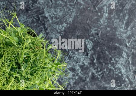 Junge Triebe von Erbsen oder Bohnen in einem Behälter. Grüner, saftiger, frischer Salat auf schwarzem strukturierten Hintergrund. Gesundes Lebensmittelkonzept. Stockfoto