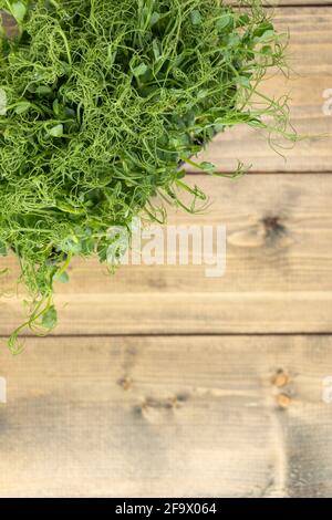 Junge Triebe von Erbsen oder Bohnen in einem Behälter. Grüner, saftiger, frischer Salat auf Holzgrund. Gesundes Lebensmittelkonzept. Stockfoto