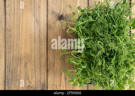 Junge Triebe von Erbsen oder Bohnen in einem Behälter. Grüner, saftiger, frischer Salat auf Holzgrund. Gesundes Lebensmittelkonzept. Stockfoto