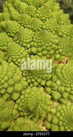 Nahaufnahme von frischem Romanesco-Brokkoli oder römischem Blumenkohl Stockfoto