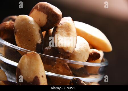 Zusammensetzung mit einer Schüssel geschälte paranüsse. Delikatessen Stockfoto
