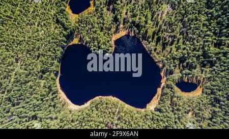 Luftaufnahme.perfekt blauer Wassersee mit kleineren Seen daneben, direkt aus der Luft aufgenommen, erinnert an ein Land, das von einem Pinienwald umgeben ist. Stockfoto