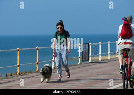 Hastings, East Sussex, Großbritannien. 21 April 2021. UK Wetter: Sonniger Tag heute an der Strandpromenade von Hastings. Eine Frau mit Kopfhörern, die einen Hund entlang der Promenade führt. Foto-Kredit: Paul Lawrenson /Alamy Live Nachrichten Stockfoto