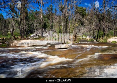 Kaskaden, die nach den jüngsten Regenfällen laufen, Mann River Nature Reserve, Old Grafton Road, NSW Australia Stockfoto