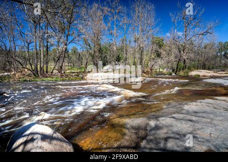 Kaskaden, die nach den jüngsten Regenfällen laufen, Mann River Nature Reserve, Old Grafton Road, NSW Australia Stockfoto