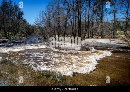 Kaskaden, die nach den jüngsten Regenfällen laufen, Mann River Nature Reserve, Old Grafton Road, NSW Australia Stockfoto