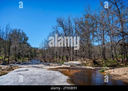 Kaskaden, die nach den jüngsten Regenfällen laufen, Mann River Nature Reserve, Old Grafton Road, NSW Australia Stockfoto