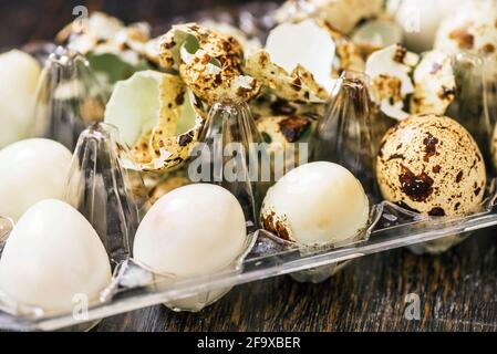 Qauil-Eier in Plastiktüte auf Holztisch. Nahaufnahme. Einige von theam sind gekocht, einige sind mit schönen gesprenkelten dekorativen Schale. Stockfoto