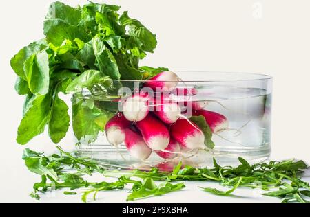 Schöne reife Radieschen mit grünlichen Blättern im Glas mit klarem Wasser auf weißem Hintergrund. Stockfoto