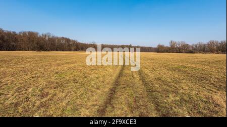 Frühe Springrtime Wiese mit Bäumen um und klarem Himmel dazwischen Polanka nad Odrou und Kosatka in der Nähe der Stadt Ostrava in der Tschechischen Republik republik Stockfoto