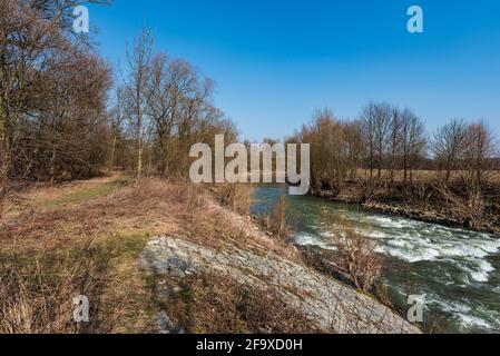 Fluss Odra mit Bäumen und klarem Himmel in der Nähe von Ostrava Stadt in der Tschechischen republik im frühen Frühling Stockfoto