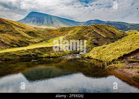 Picws Du oder Bannau Sir Gaer spiegeln sich in einem Pool wider Auf dem Weg nach Llyn y Fan Fach in der Carmarthenshire Fan oder Black Mountain Wales Stockfoto