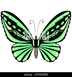 Leuchtend grüner Schmetterling Nahaufnahme. Ein schönes Insekt mit bunten Flügeln. Vektor.isoliertes Objekt. Freihandzeichnung. Stock Vektor