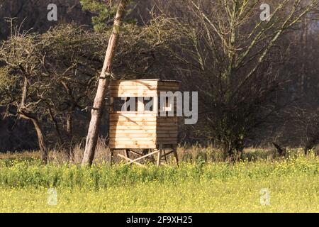 Holzjagdbox versteckt im Wald - der ideale Ort Lichtbedingungen für die Jagd, Wildbeobachtung oder Fotografie Stockfoto