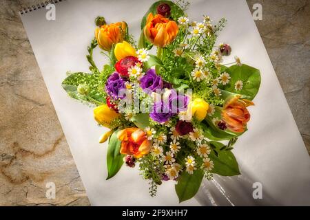 BLUMENKUNST: Blumen des Frühlings Stockfoto