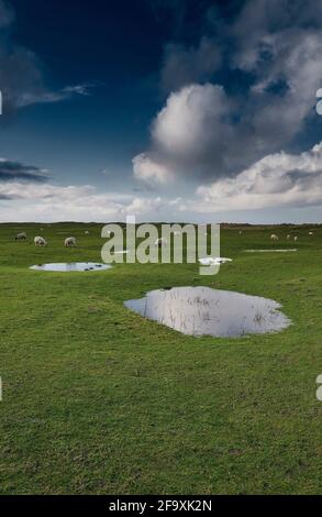 Dramatische Wolken am Himmel gegen eine kleine Wasserpfütze nach einem Wetterregen, nach Westen Ho! Burrows, Devon, Großbritannien Stockfoto