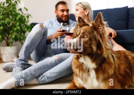 Nahaufnahme eines Pärchens, das mit ihrem Wein auf dem Sofa trinkt Border Collie Hund in der Nähe Stockfoto