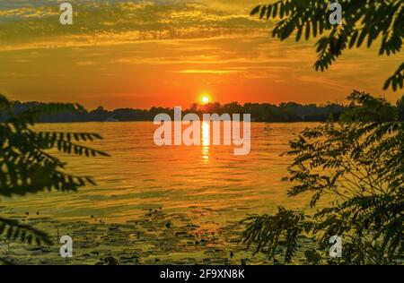 Über einem Teich geht die orangefarbene Sonne unter, die sich an einem Sommerabend im Wasser der untergehenden Sonne widerspiegelt Stockfoto