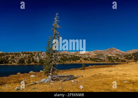 Long Lake entlang des Beartooth Highway, Shoshone National Forest, Wyoming, USA Stockfoto