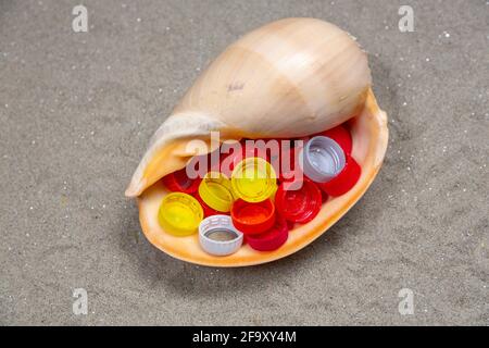 Seashell mit Plastikflaschen-Stopfen Stockfoto