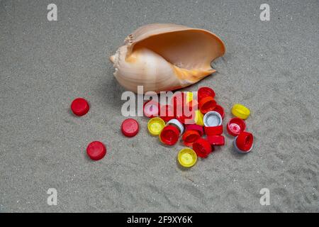 Seashell mit Plastikflaschen-Stopfen Stockfoto