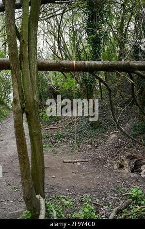 Selbstgemachte Schaukel auf einem umgestürzten Baum im Wald. Stockfoto