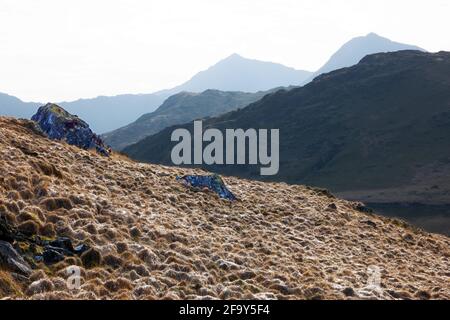 Berggrasland im frühen Frühjahr mit Blick auf die Snowdon-Bergkette von Dyffryn Mymbyr. Stockfoto